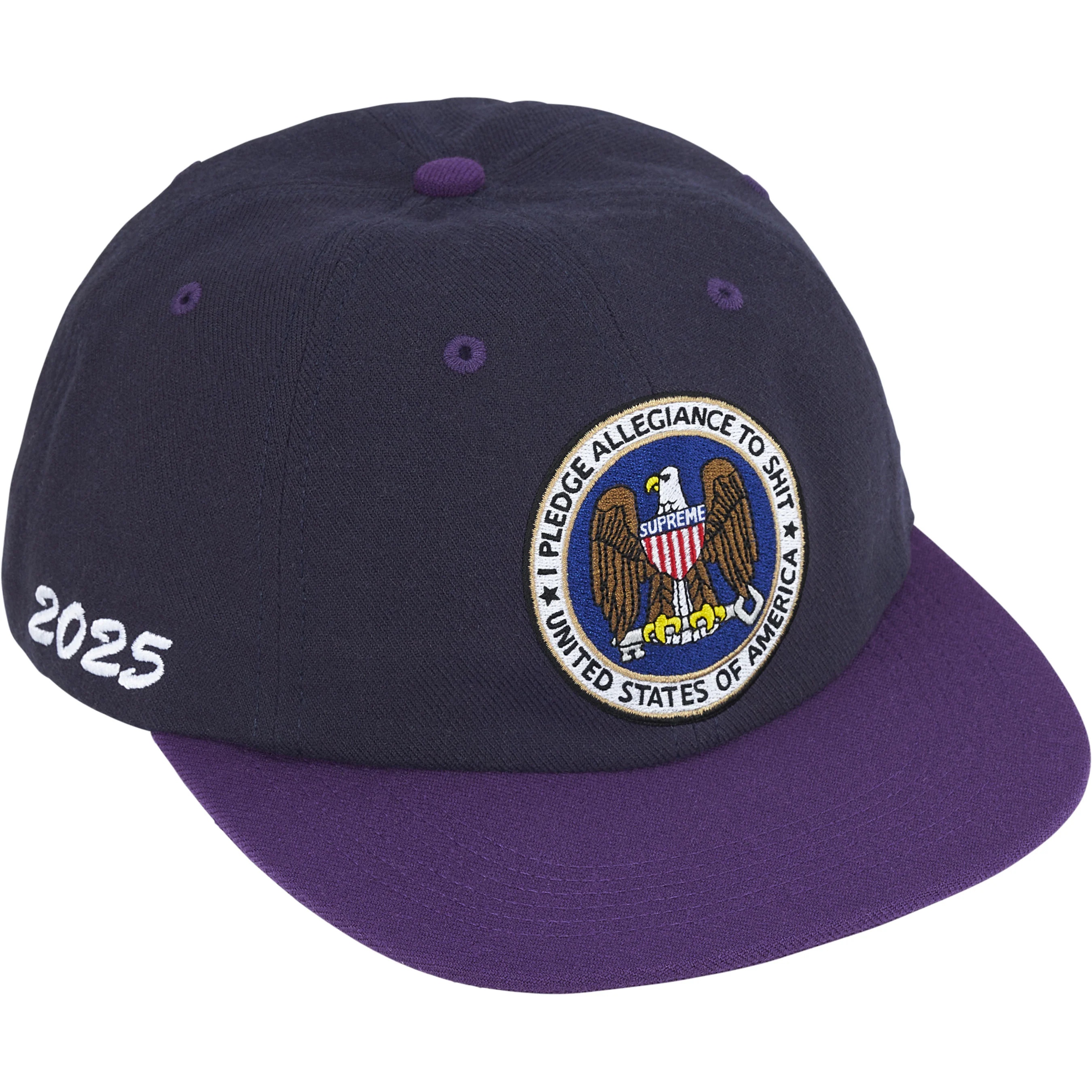 Pledge Allegiance 6-Panel view 9